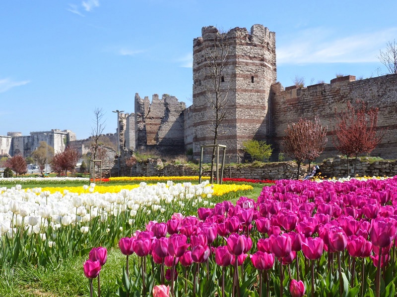 جشنواره گل لاله استانبول